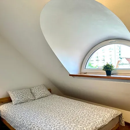 Gdzie Jest Nemo - W Centrum * Сопот