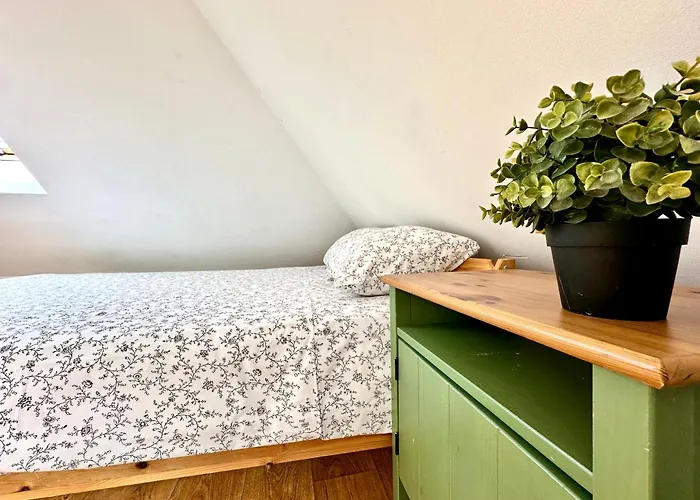 Gdzie Jest Nemo - W Centrum Sopot