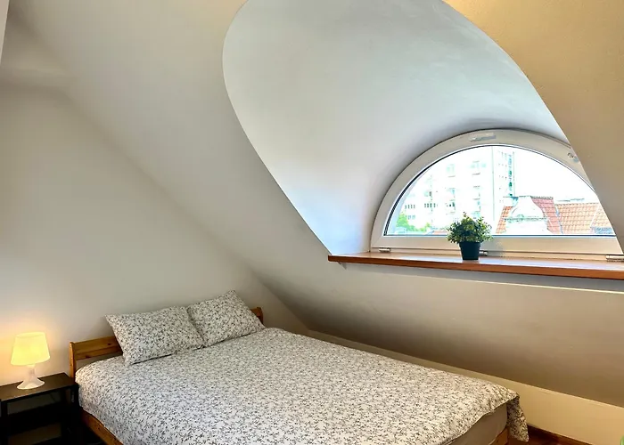 Gdzie Jest Nemo - W Centrum * Sopot